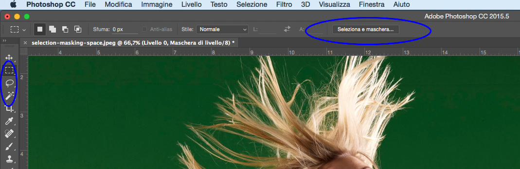 Nuova sezione Seleziona e Maschera di Photoshop