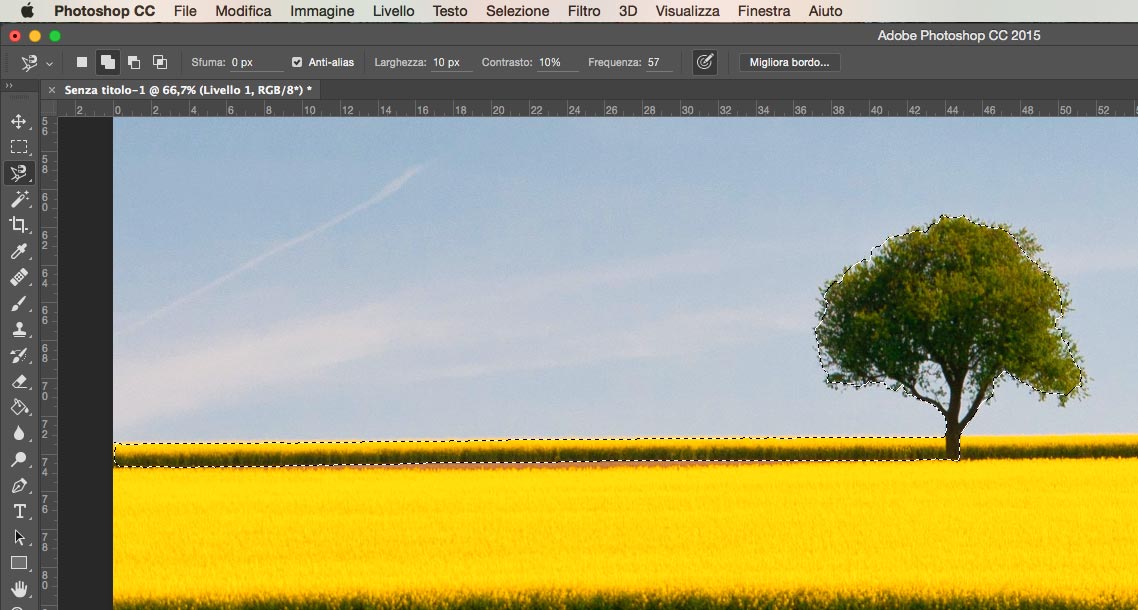 Esempio di selezione con Strumento Lazo magnetico Photoshop Selezione con Strumento Lazo magnetico Photoshop